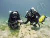 tech divers in cyprus